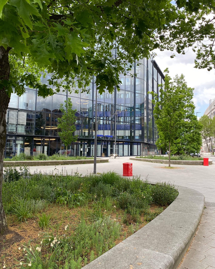 Springer-Platz in Hamburg mit Bäumen, die große blühende Baumscheiben haben und Betonsitzringe anbieten.