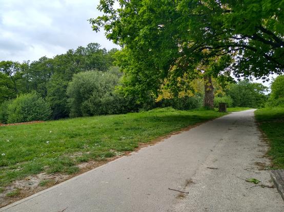 Trees, grass and path in a park