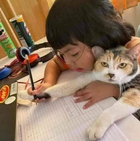 Young child and cat jointly holding a pencil, writing in a notebook at a desk. The cat looks put out.