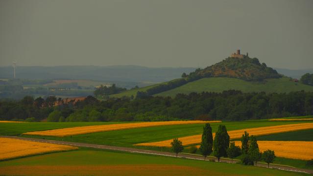 Landschaft in kräftigen gelb und grüntönen. Im Vordergrund Felder mit einer Straße, die Mittelachse bildet eine Wald und Buschreihe und im Hintergrund rechts ragt der Vulkankegel des Desenbergs mit der Burgruine auf