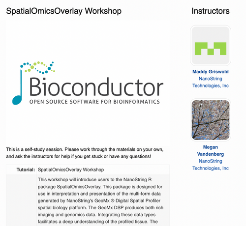 Screenshot of SpatialOmicsOverlay tutorial