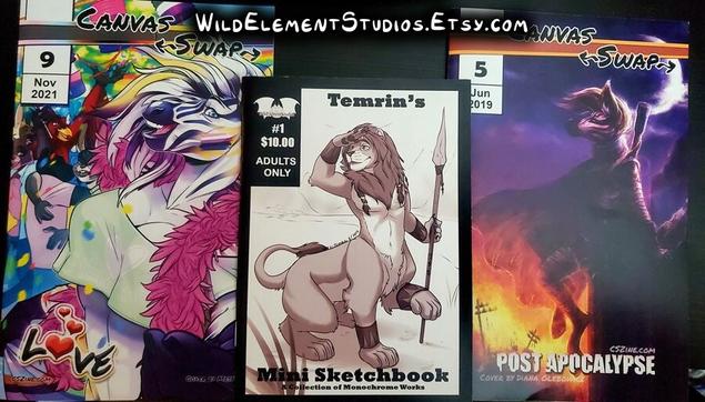 Photo of 3 zines, one pride themed showcasing art from queer folks, one monochrome/hreyscale mini sketch book, one post apocalypse themed collaborative Zine