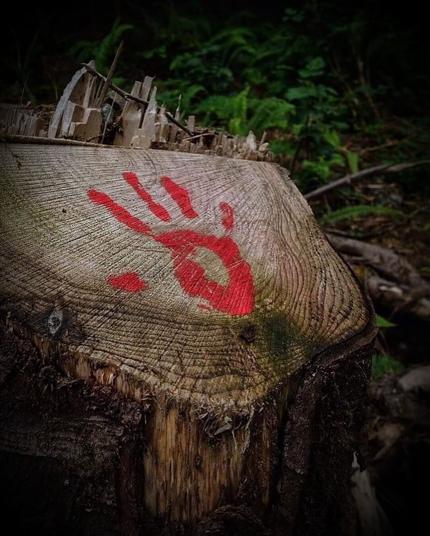 Red paint handprint on old growth stump.