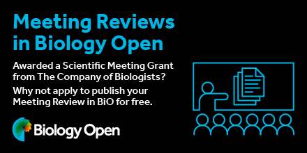 Advertisement banner depicting a scientific meeting.