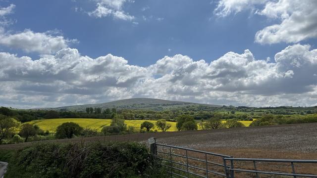 Many shades of green in the landscape, fresh blue skies and vivid clouds. Yellow oil seed rape, with Dartmoor behind