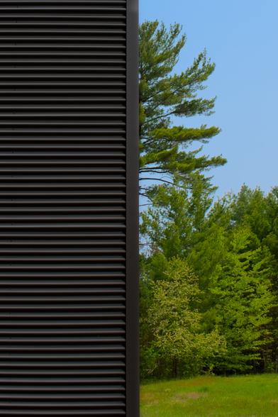A photo the left half of which is a corrugated metal wall. The other half shows various green trees against a blue sky.