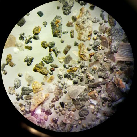 A view from the microscope eye. Silurian Pridoli fossils, pyrite and other stuff from the borehole in Lithuania one kilometer deep.
