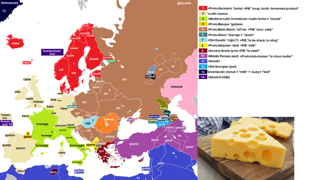 Map of Europe with the word for 'cheese' in various languages