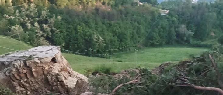 #Frane, 200mila euro per sistemare le strade

Stanziamento del ministero dei Trasporti



Landslides, #200,000euro to fix roads

Allocation from the Ministry of Transport

25-5-2023 7:57 #Tutte le notizie di  oggi - Carlino https://www.ilrestodelcarlino.it/feedservice/compilations/1/ https://www.ilrestodelcarlino.it/cesena/cronaca/frane-200mila-euro-per-sistemare-le-strade-26da29b1