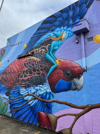 This scene takes in a portion of a larger mural (around 20 metres wide) on a brick wall. This section of the scene is around 4 metres wide by 4 metres high, with a vibrant rosella mid flight, tilted slightly flying from left to right, zooming through the air. 

The bird is looking at the observer (the camera) almost with human intelligence in its eye. Has various blue coloured wings, spread wide and individual / distinct feathers showing. Great painted detail. Very detailed. 

Its back and body is adorned with red and a bit of black individual feathers and it’s head is red, darker blue chin, grey curved beak and black eye. 

It’s a side shot and the bird almost has what appears to be a grin… most certainly has a cheeky look in its eye. 

Riding on its back (closer to its neck) is a slim and slender humanoid woman (has breasts) in a teal
Coloured skin suit. 

The woman has flowing blonde hair, flowing in the wind, but no face. It looks like a light brown (perhaps skin tone) disc, for a face. 

It is a real fun scene.