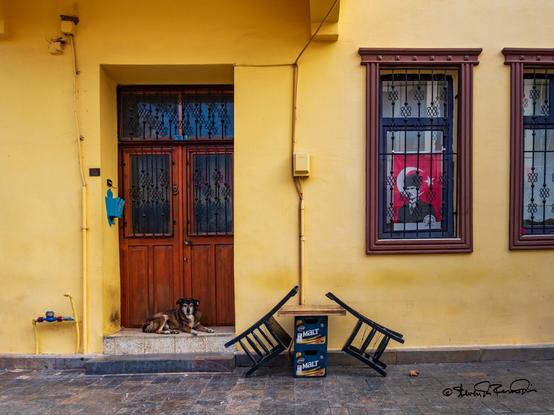 A yellow house with a wooden doorway with a small dog lying on the stoop. There are two windows, one of which has a picture of Ataturk in front of the Turkish flag. In the foreground there is a small table on a stone courtyard with two wooden chairs tilted forward against the tabletop.