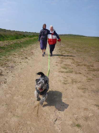 Mother and daughter standing arm in arm on a sandy beach in windy conditions with a small grey dog running towards camera