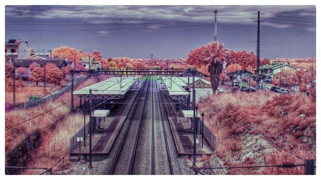 A digital 'aerochrome' of the railway station in Oiã, Portugal. The railway line stretches into the background.  In the centre of the frame is the station, two large metal fabricated shelters. Around the station is a lot of vegetation that because it was taken with a full-spectrum camera shows up as red/orange.