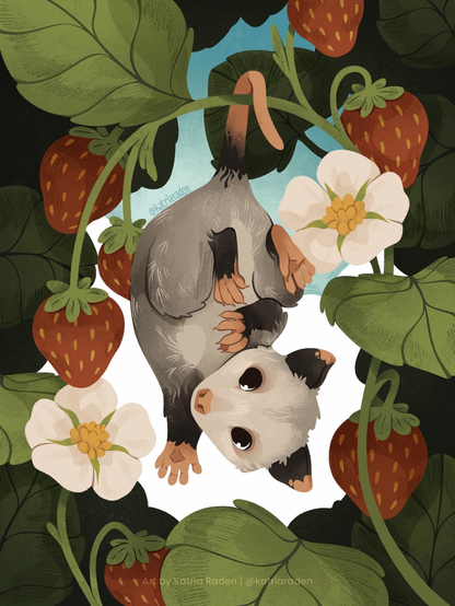 Digital illustration of an upside-down possum hanging from a giant strawberry stalk