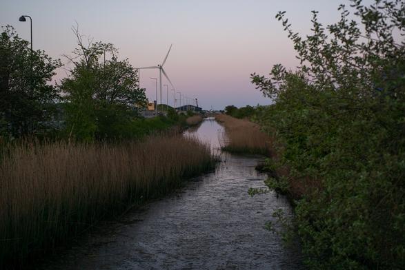 A river in the late evening. Framed by tall grass. Windmills in the distance.