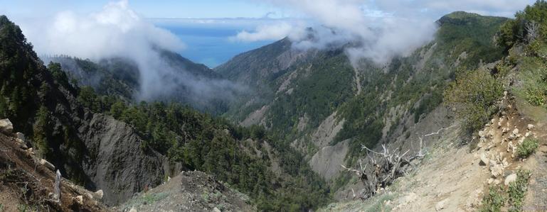 Seaside canyon from the King Crest Trail.
Wispy clouds on the ridge tops on either side of the canyon reach down into its steep sides full of slides too steep for anything to grow. Less steep surfaces are topped with trees. Out the end of the canyon, the ocean is visible.