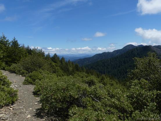 Looking back along the King Range to King Peak. Peaks of green under a mostly blue sky.