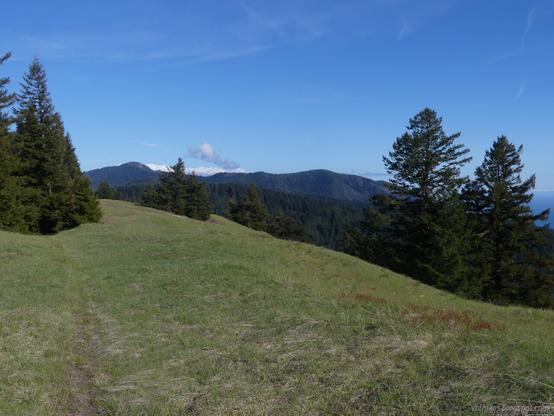 Now hiking on a grassy hill on Cooskie Creek Route, looking south along the King Range. Nearby, green grass has scattered Douglas firs. In the distance, hills are covered with the trees except for a grey spot of slide on Northslide Mountain.