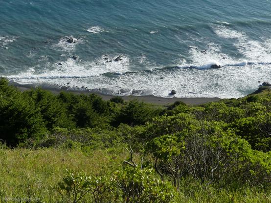 North end of Cooskie Creek Route. Looking down a shrub covered hillside that drops steeply to the dark sand beach below. Waves wash the beach leaving a little sand visible. A line of wave comes in for more washing of the sand.