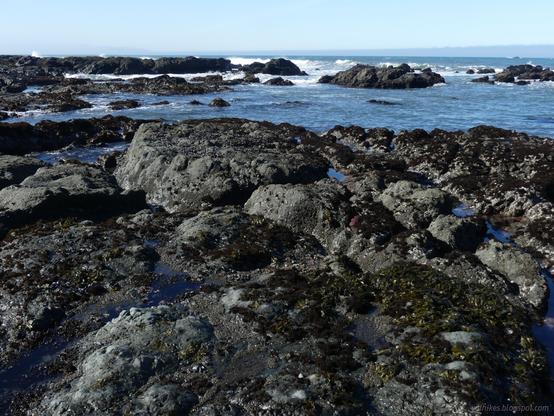 Tide pools on Mattole Beach. Dark rocks with water pooling in the low spots. There's more rocks scattered in the water beyond and waves trying to crash through them. A distant marine layer sits on the water and there happens to be a small boat in the distance to the right.