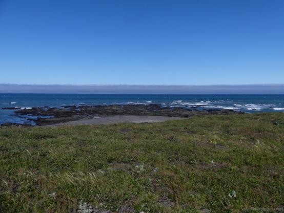 Mattole Beach. Standing in the dunes looking out to the dark sand beach. One section of the beach has dark rocks at the water that extend out a little. There's a distant fog bank, but otherwise the sky is blue.