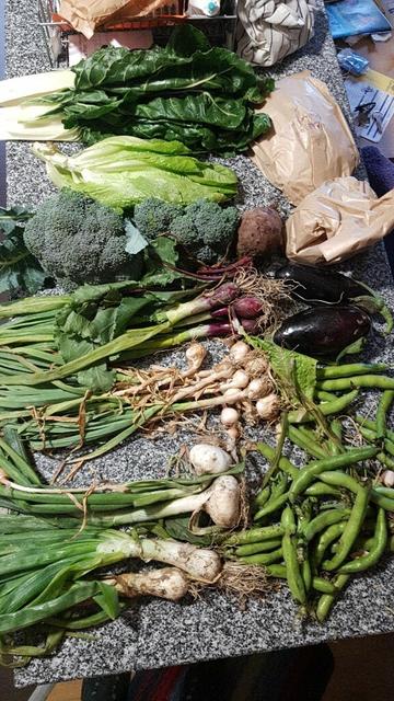 Cesta de la semana con cebollas tiernas rojas y blancas, ajetes, habas, berenjenas, lechuga, brócoli, acelgas y una remolacha.