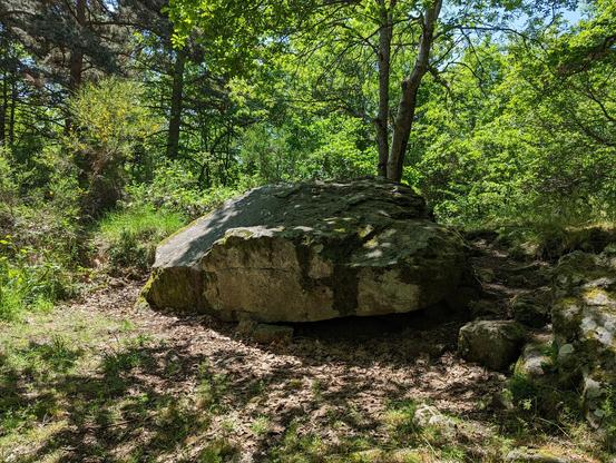 Photo à contre jour de la table du dolmen, avec en premier plan sur la droite des pierres constituant probablement une partie du tumulus. En arrière plan, quelques arbres.