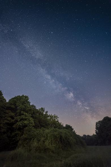 DE: Das Zentrum der Milchstraße thront über einen üppigen Schlehenstrauch.

EN: The centre of Milky Way over a lush sloe bush.