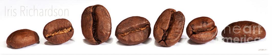 A row of fresh roasted coffee beans on a white background landscape. Artist Iris Richardson, gallery pixel