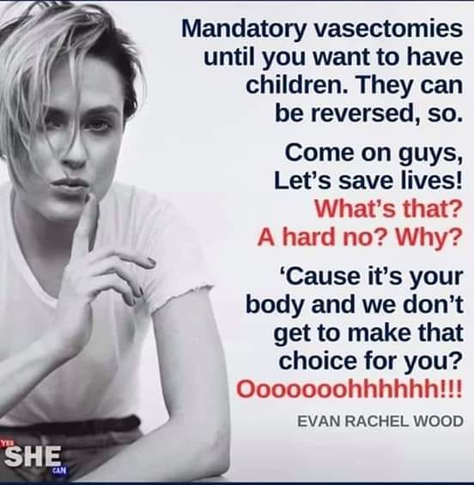 A photo of Evan Rachel Wood with her finger to her lips: 
"Mandatory vasectomies until you want to have children. They can be reversed, so. Come on guys lets save lives!
(in red) What's that? A hard NO? Why?
'Cause it's your body and we don't get to make that choice for you? 
Ooooooh!!!!"
