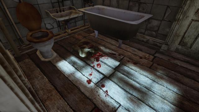 Bathroom with a small lot of uncleaned blood?
