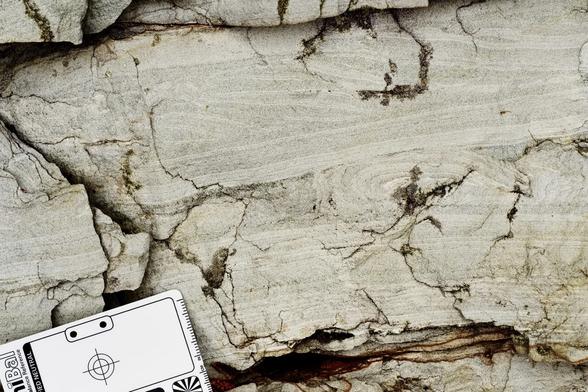 This color photo show a circa 12 cm vertical extent of sedimentary rocks. In the upper part of the image, beds are inclined upward to the left. Near the center of the image, a bed has been rolled over itself. These features could have been caused by sediment slumping leftward, possibly in a debris flow. There is a white balance card with inch and centimeter scales at the bottom left. My photo.