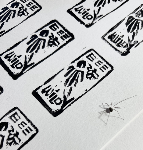pink eraser, and carved print of an echinacea flower with a B on it text says be wild. Next to the image is a small spider.