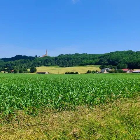 Auriébat
