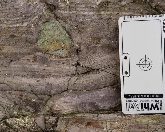 In this color photo, a greenish circa 2 centimeter pebble at the center is bounded by distorted quasi parallel bedding below and above. Image height is about 10 cm. White balance card at right has an inch scale visible. My photo.