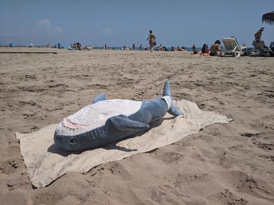 Blahaj at beach on little yellow towel