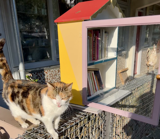 There is a colourful tiny library on a fence. The roof is red, the sides are yellow and the door is pink. Inside are books. The door is open. Next to that is a calico cat with her mouth open meowing the neighbourhood awake.