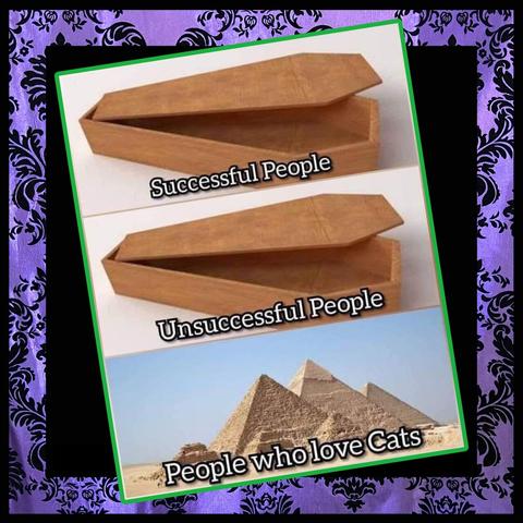 A purple damask frame around a meme. It shows two identical brown coffins, one labeled “successful people” and the other “unsuccessful people.” A third image shows a row of pyramids in Egypt with the label (people who love cats.”