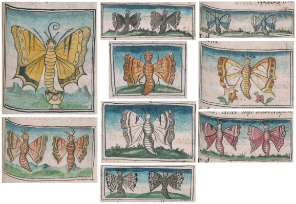 Composite image collecting the illustrations of Papalotl (butterflies) in Book 11 of the Florentine Codex: 9 individual images total, with various butterflies illustrated in color and framed in simple black rectangles. All illustrations are by Indigenous Nahua artists; the 12-volume encyclopedia was compiled by Spanish Franciscan friar Bernardino de Sahagún and  completed c. 1577.