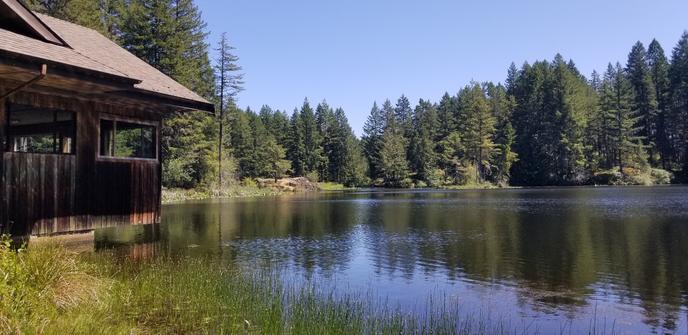 Nature house that sits, overhanging the lake is on the left. View of the lake & surrounding forest fills rest of frame.