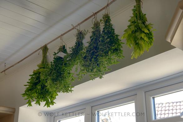 The photograph shows six bunches of freshly harvested herbs hung up to dry from the cream painted wooden ceiling of my kitchen. They are tied to a bamboo cane, which is suspended from the ceiling.