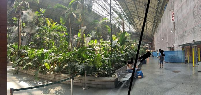 Tropical trees inside big grey hall, people waiting next to it.