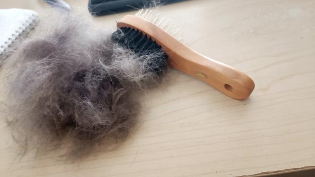 a brush and ball of fur from a few minutes brushing session