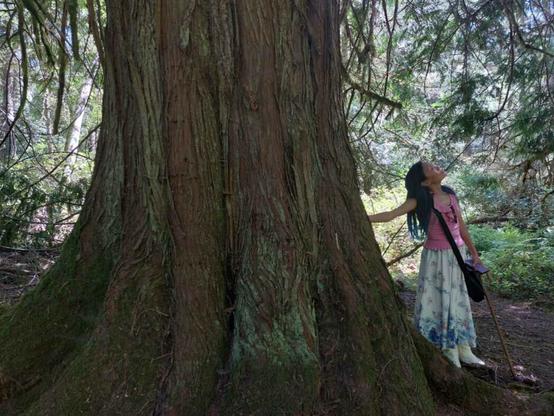 Julie's photo of me leaning right hand on cedar tree, while looking up towards branches & canopy.