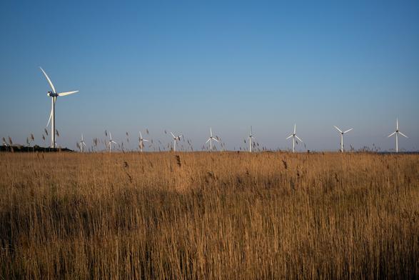 Grasslands in front.  A line of windmills where the fields meet the sky. One closer on the left.