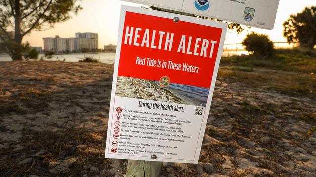 Ein Warnschild an einem Strand in Florida (Quelle: DLF-Artikelbild)