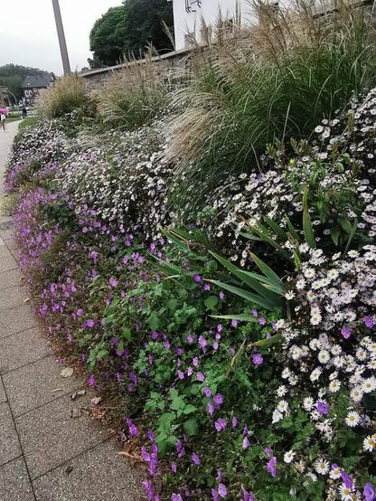 Staudenbeet Hochsommer