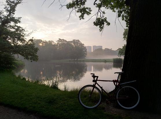 Ein Fahrrad lehnt an einem dicken Baum, dahinter ein See, am Ufer weitere Bäume.  Enten auf dem See. Im Hintergrund ein Feld mit Nebel, dahinter wieder Bäume und Hochhäuser.