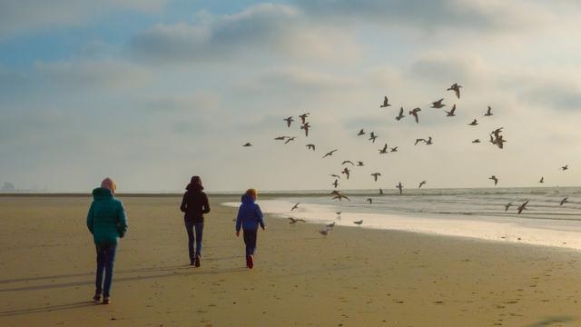 Three people walking on a beach on the left side of the picture. Birds are flying away to the right.