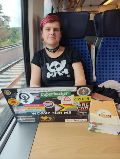 Ich sitze im Zug und habe den Laptop vor mir stehen. Daneben liegt eine Bibel.